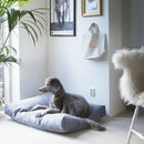 Grand caniche sur un tapis bleu avec le tote bag accroché au mur derrière