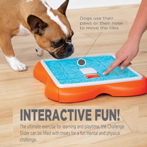 Puzzle interactif pour chien Challenge Slider Niv.3