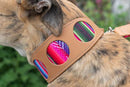 Collier pour chien cuir et tissu Inca Pink
