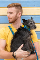 Noeud papillon pour chien Shuka Blue