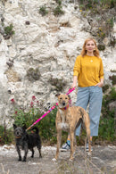 Laisse pour chien Inca Pink