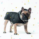 Bouledogue français portant un imperméable pour chien noir