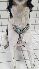 Harnais en H fleuri Perelada