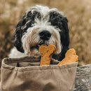 Bol de voyage pour chien pliable Melo Band & Roll