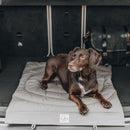 Matelas de voyage pour chien enroulable Compass Band & Roll