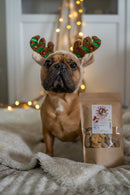 Biscuits pour chien aux épicex d'hiver