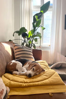 Matelas de voyage pour chien enroulable Compass Band & Roll