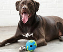Balle pour chien Planet Ball Orbee-Tuff