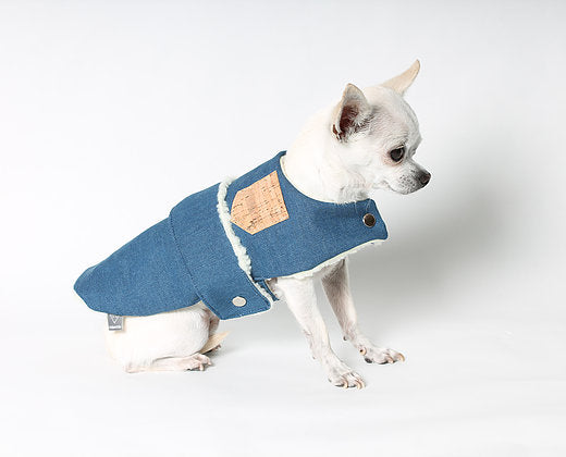 manteau chien de petite taille