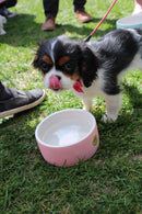 Bol en céramique rafraîchissant (2 couleurs) - Hariet et Rosie
