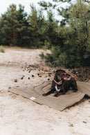 Matelas de voyage pour chien enroulable Compass Band & Roll