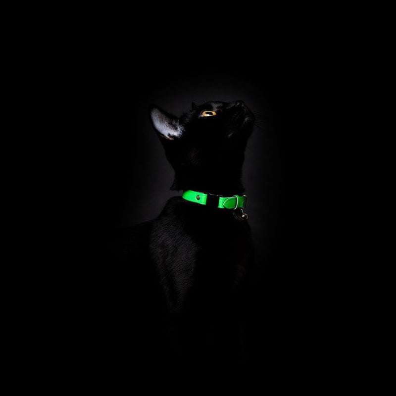 Collier pour chat réfléchissant Lumino Lux