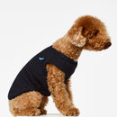 Body pour chien Josef