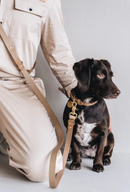 Laisse pour chien en cuir ajustable Lasso Band & Roll