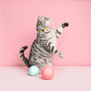 Collier pour chat Ice cream  (4 couleurs)