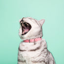 Collier pour chat Ice cream  (4 couleurs)