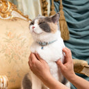 Collier pour chat Rococo  (3 couleurs)