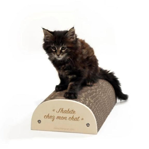 Maisonnette En Carton Pour Chat ZOOPIZ - 48x44x36 Cm, Couleur Marron - Confortable, Facile à Assembler, écologique Et Ludique - 5