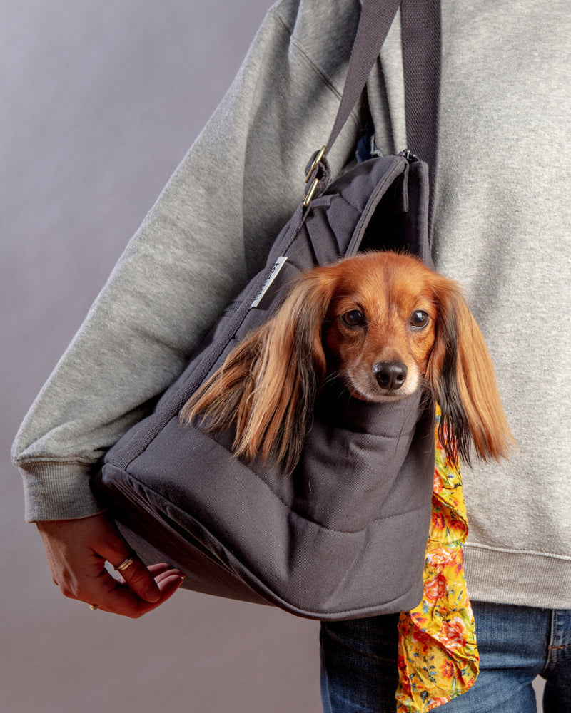 Sac de transport pour chien (max 15kg)