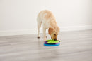 chien jouant avec le puzzle Lickin’ Layers de Nina Ottosson