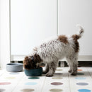 Bol pour chien design nordique Ole hyvä - Hariet et Rosie