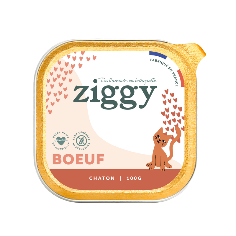 Pâtée Chaton boeuf Ziggy