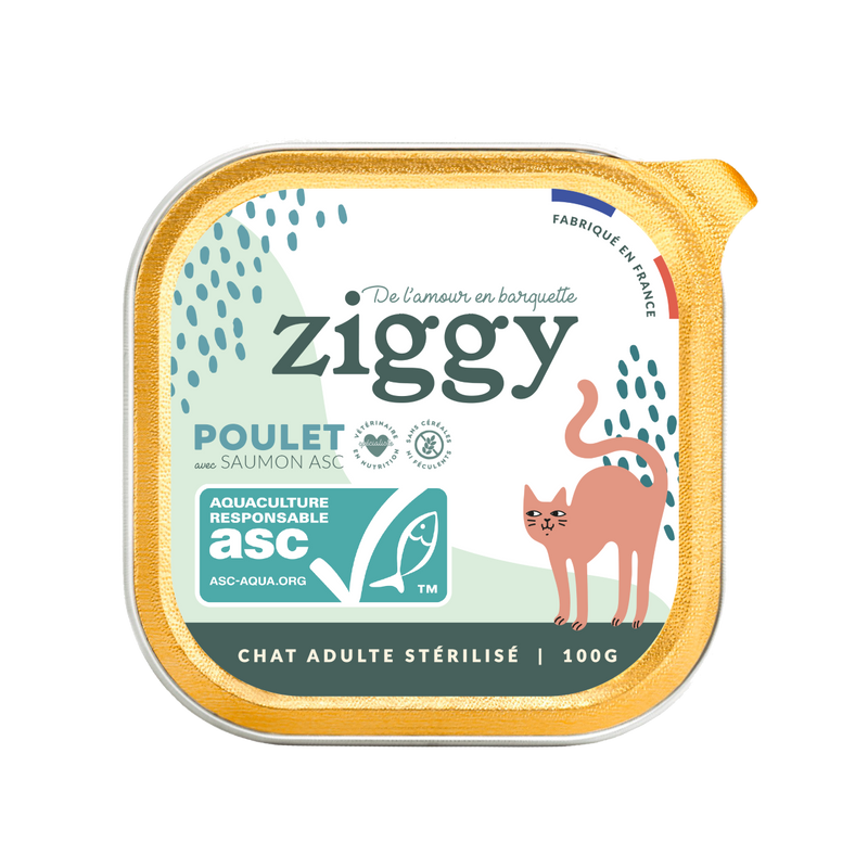 Pâtée Chat Adulte Stérilisé avec du saumon Ziggy
