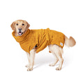 Labrador sable portant un peignoir pour chien ocre