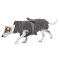 Jack russel portant un peignoir pour chien gris