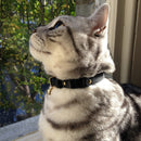 Collier en cuir Beluga - Hariet et Rosie