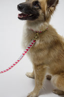 Laisse Nice Grill (2 couleurs) - Hariet et Rosie