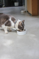 Bol en céramique pour chien et chat