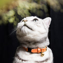 Collier pour chat en cuir Keta Caviar