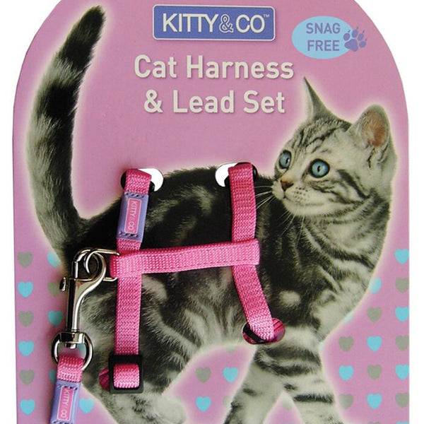 Harnais pour chat Petit Aventurier – Au bonheur du chat - Boutique  d'accessoires pour votre chat et pour vous