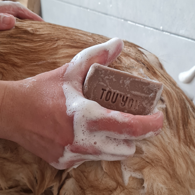 Shampoing solide pour chien bio
