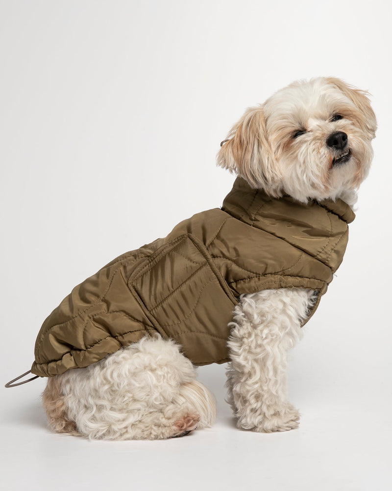 Manteau grandes tailles pour chiens - Petits Compagnons