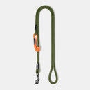 laisse pour chien en corde d'escalade verte