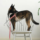 Harnais anti-traction GOODWALK