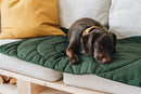 Matelas de voyage pour chien enroulable Compass Band & Roll