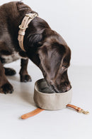 Bol de voyage pour chien pliable Melo Band & Roll