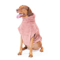 Braque portant un peignoir pour chien vieux rose