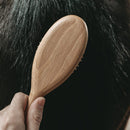 Brosse chiens poils longs Lila Loves It