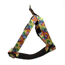 Harnais pour chien Over the rainbow