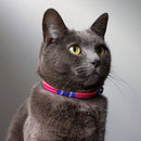 Collier pour chat Shuka Red tartan