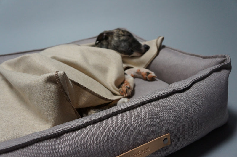 Chiot dormant dans un panier gris avec une couverture beige