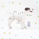 Visuel explicatif pour connaître les mensurations de son chien