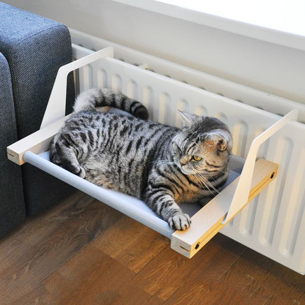 Chat tigré gris sur un hamac de radiateur blanc