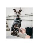 Manteau pour lévriers