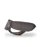 Manteau gris et écossais pour lévrier whippet