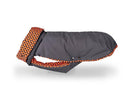 Manteau gris et pattern orange pour lévrier whippet